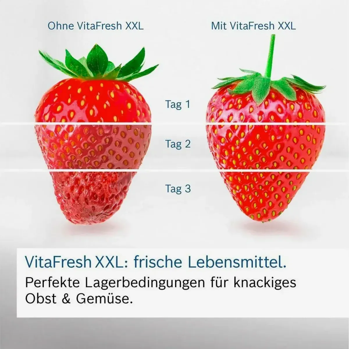 BOSCH KGN39OCAF Kühl-/Gefrierkombination, 360 l Nutzinhalt, Energieeffizienzklasse A, leiser Betrieb 2