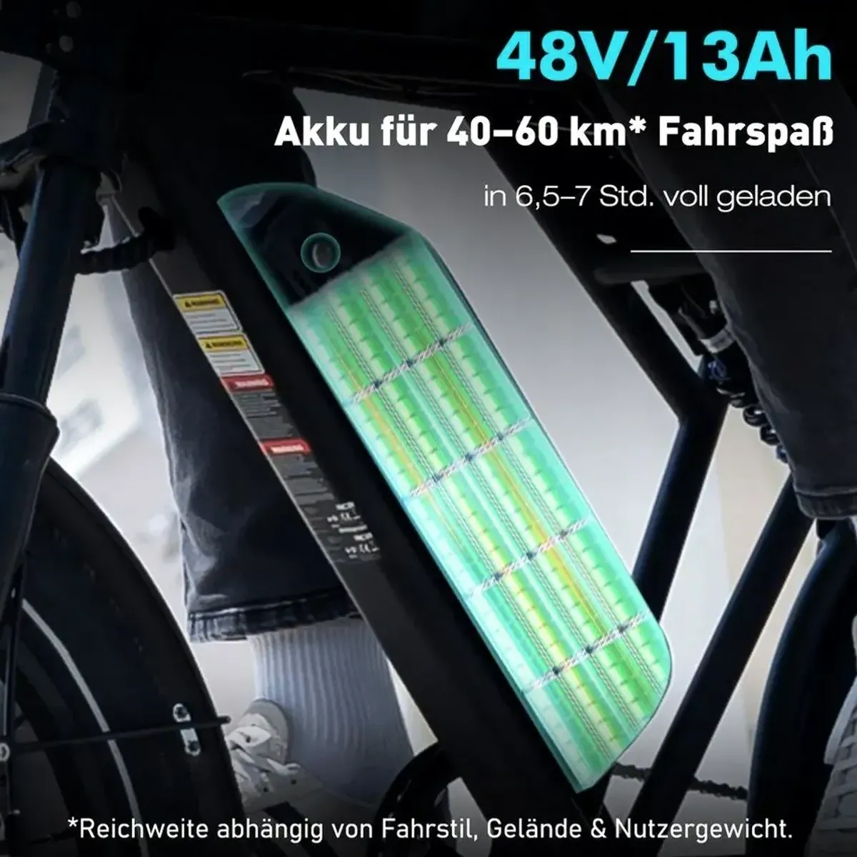 RCB RK29 E-Bike, 48V 13Ah Akku, 40-60 km Reichweite 2