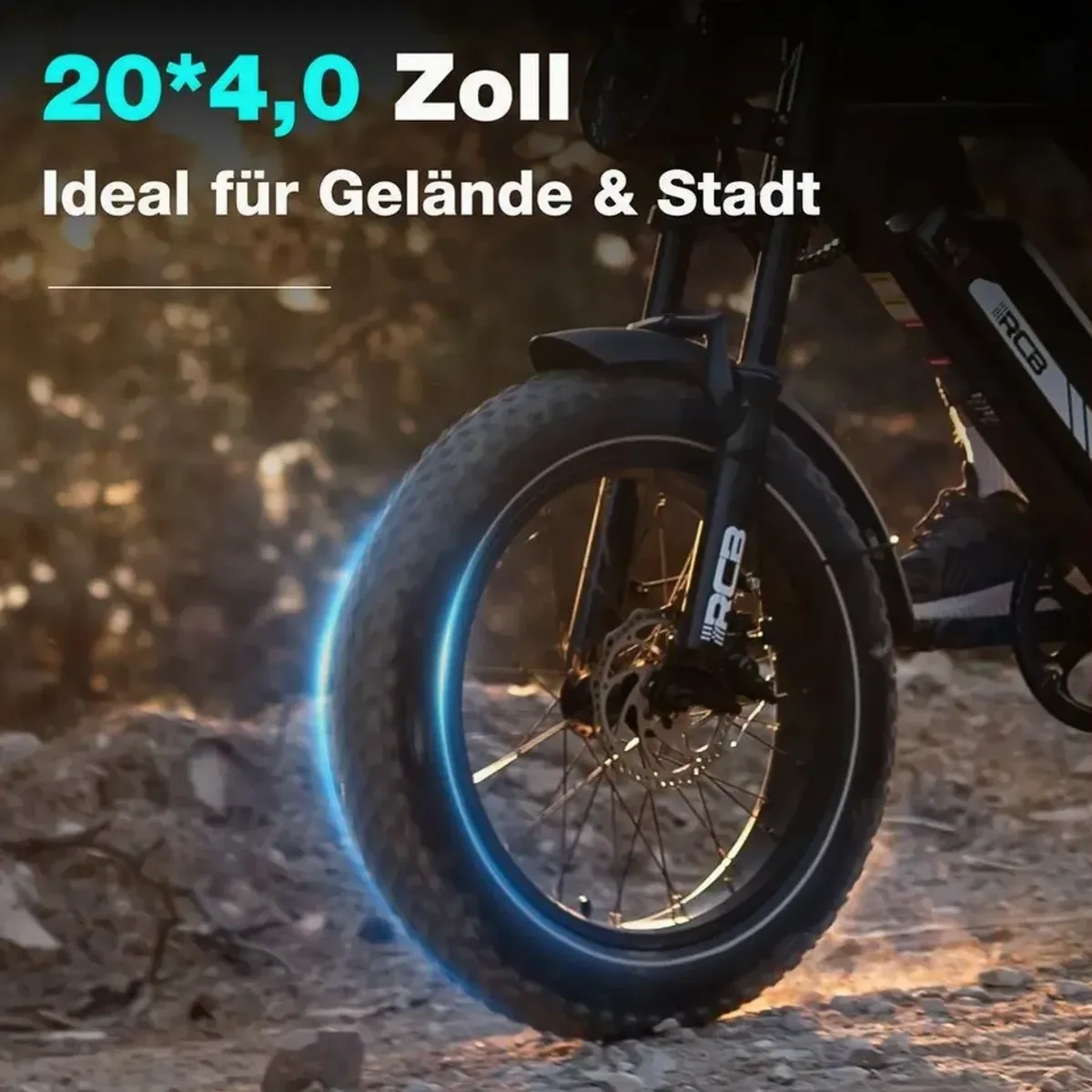 RCB RK29 E-Bike, 48V 13Ah Akku, 40-60 km Reichweite 3