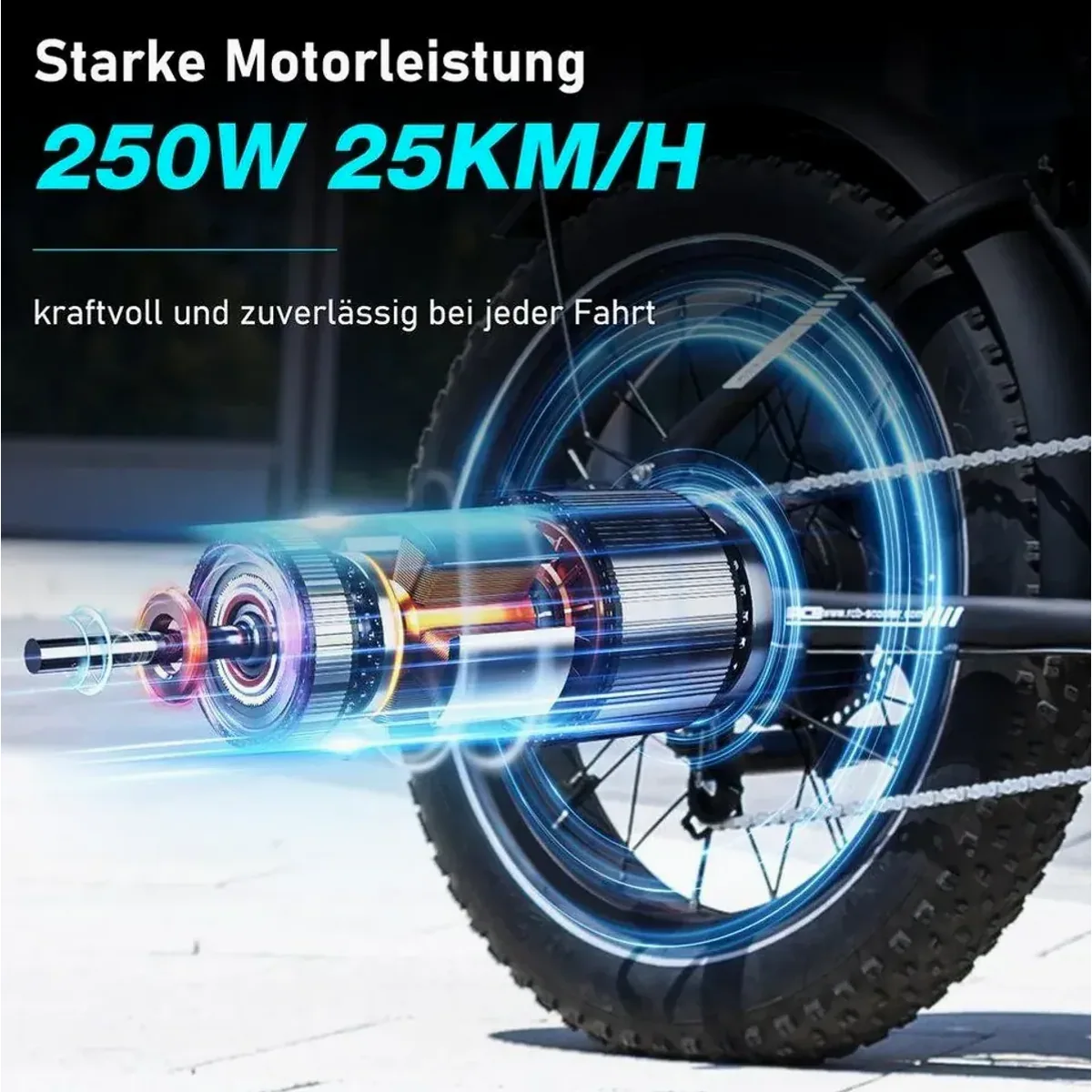 RCB RK29 E-Bike, 48V 13Ah Akku, 40-60 km Reichweite 4