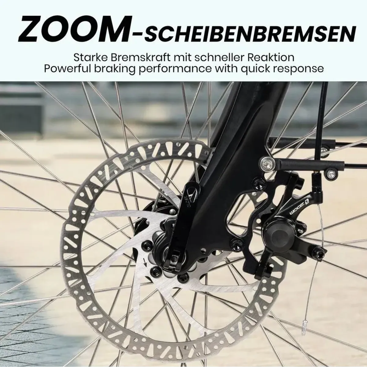 SAXXX E-Bike Cityrad, 28 Zoll, 90 km Reichweite, 250 W Motor 4