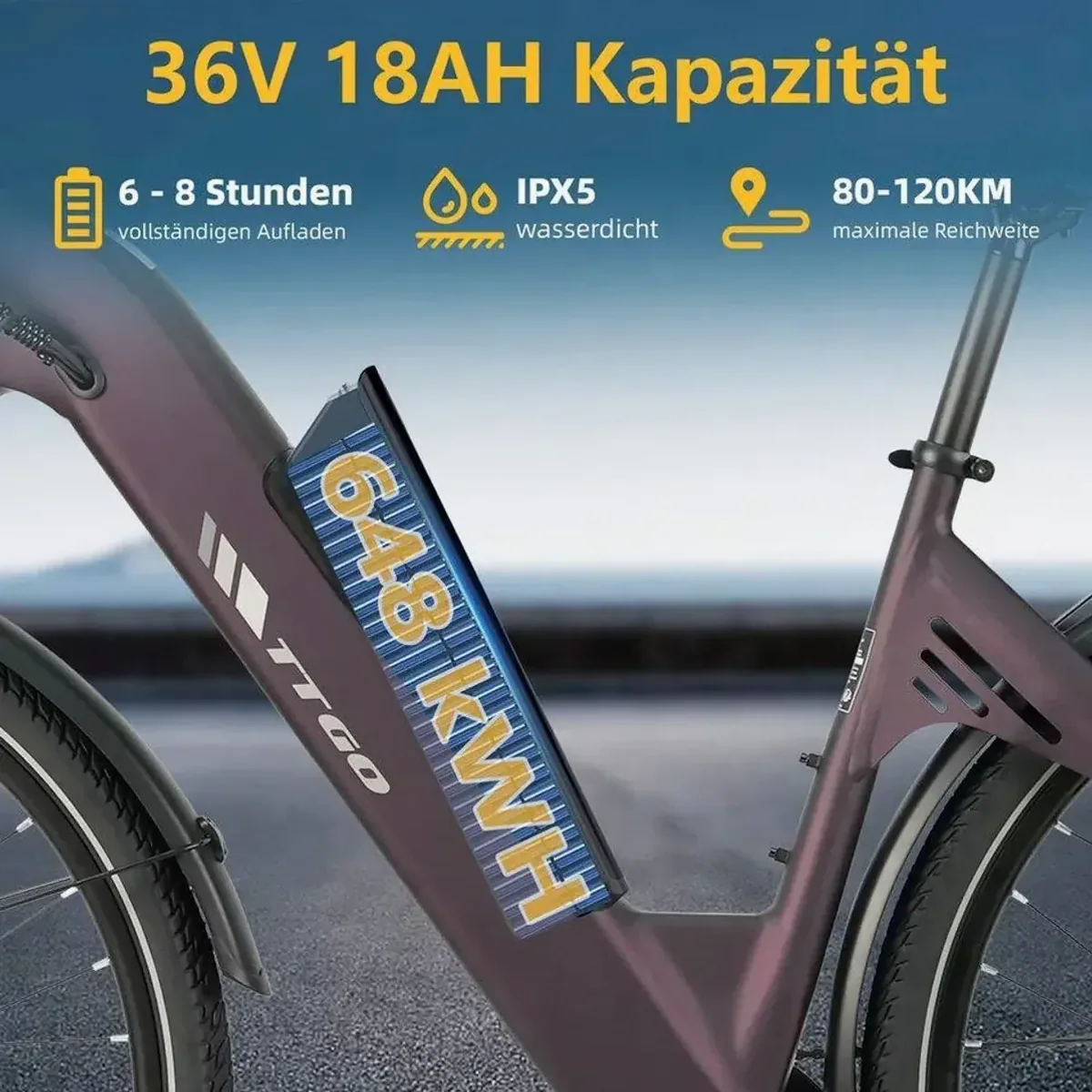 TTGO E-Bike C3 SE, 120 km Reichweite, 5-Gang Shimano, 25 kg leicht 4
